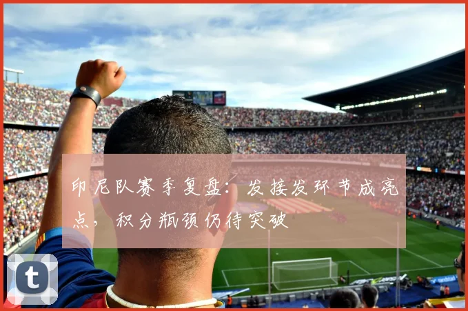 印尼队赛季复盘：发接发环节成亮点，积分瓶颈仍待突破