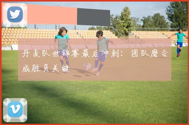 丹麦队世锦赛最后冲刺：团队磨合成胜负关键