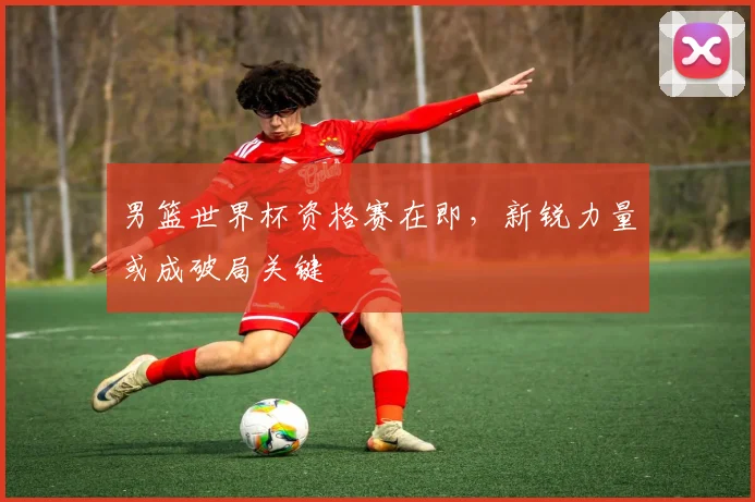 男篮世界杯资格赛在即，新锐力量或成破局关键