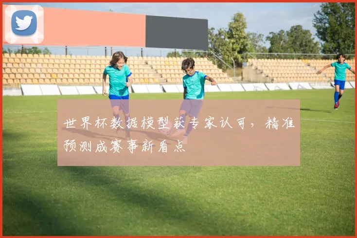 世界杯数据模型获专家认可，精准预测成赛事新看点